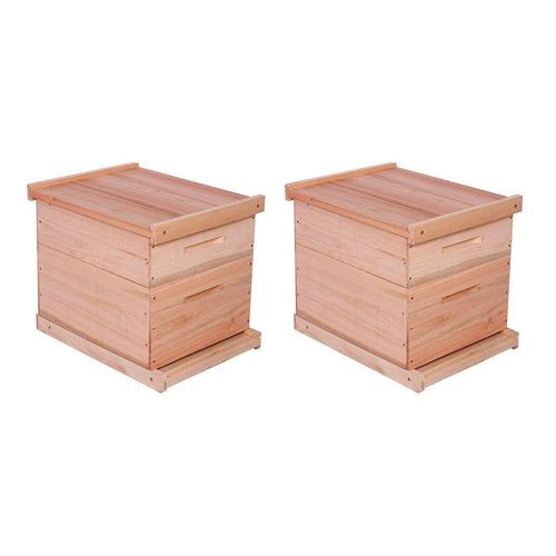 Kit 2 Caixas Abelha Padrão Langstroth Eucalipto
