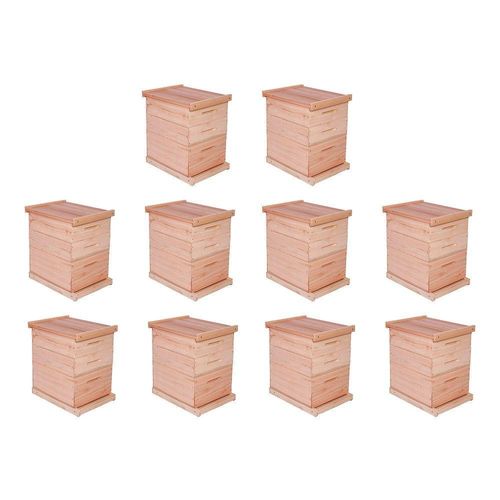 Kit 10 Caixas Abelha Padrão Langstroth Eucalipto 2 Melgueiras Arrame/Ilhós