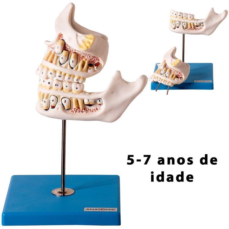 17488178611976