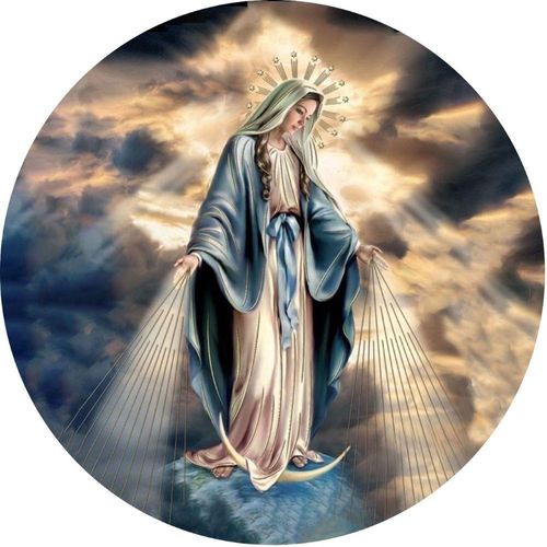 Capa Estepe Ecosport Religioso Nossa Senhora dos Milagres