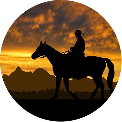 Capa De Estepe Ecosport Cowboy