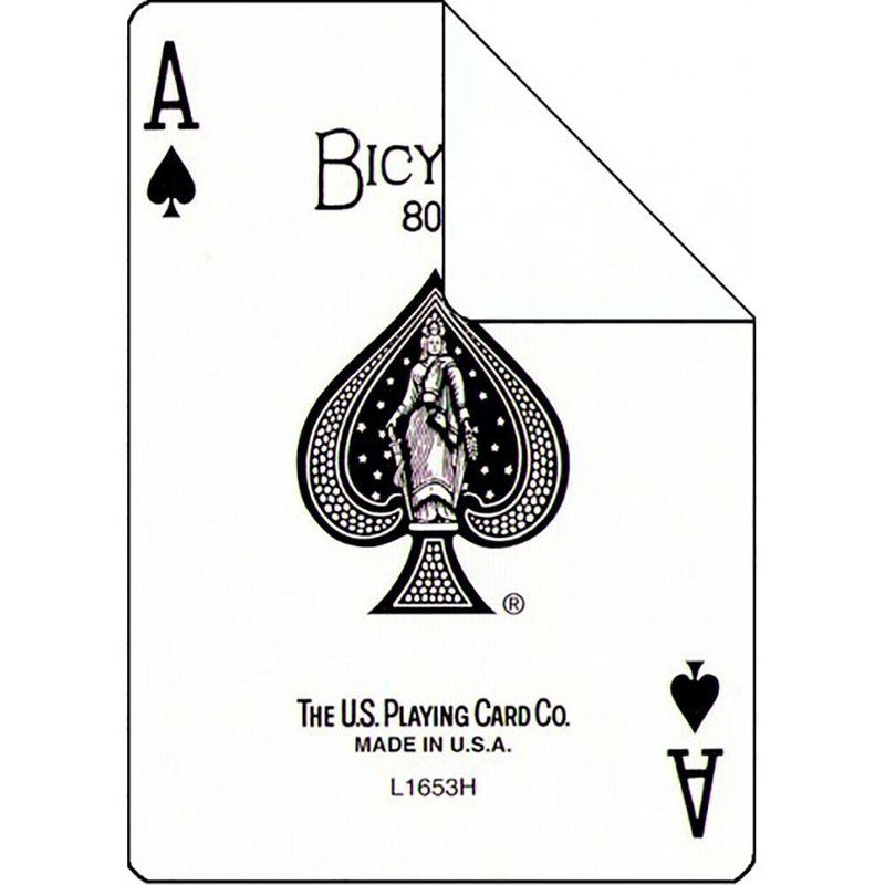 17488483680862