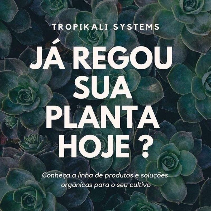 17488455358921