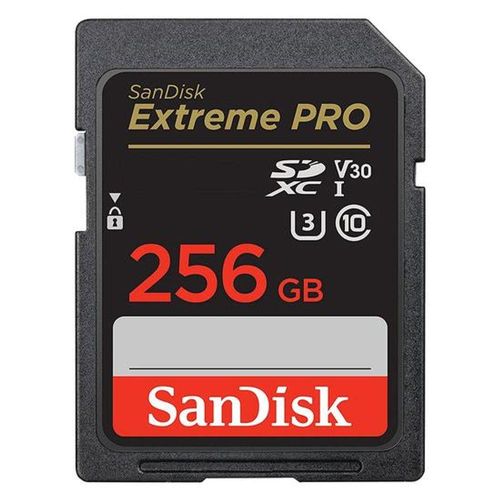 Cartao De Memoria Sd Sandisk Extreme Pro U3 256gb - (sdsdxxd-256g-gn4in)