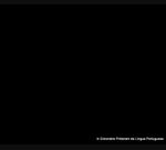 17471688331477