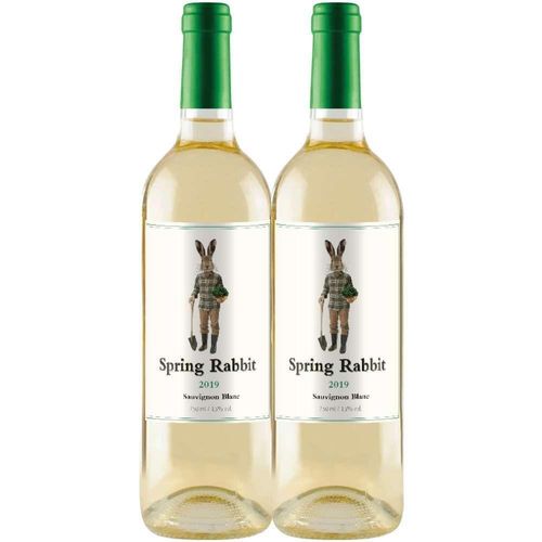 Kit 2 Garrafas Vinho Branco Spring Rabbit Sauvignon Blanc 750ml