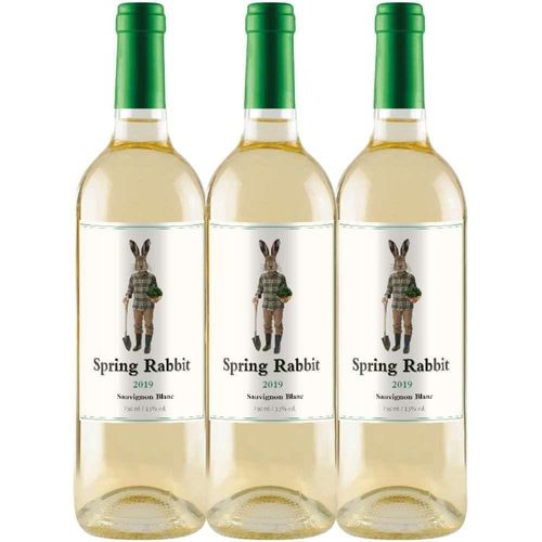 Vinho Branco Spring Rabbit Sauvignon Blanc 750ml (3 Und)