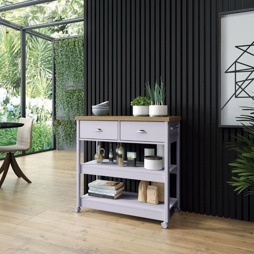 Carrinho Churrasco Ditália 2 Gavetas Ba-135 Cor:cinza Cinza