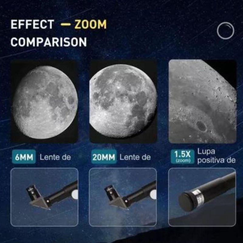 17506801321397