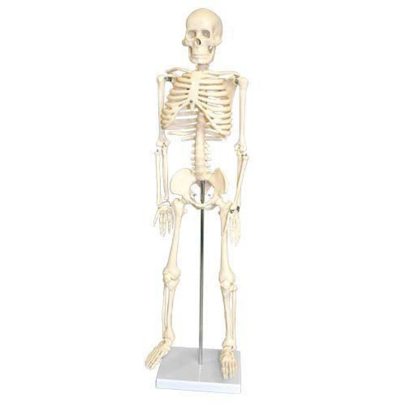 17506936009689