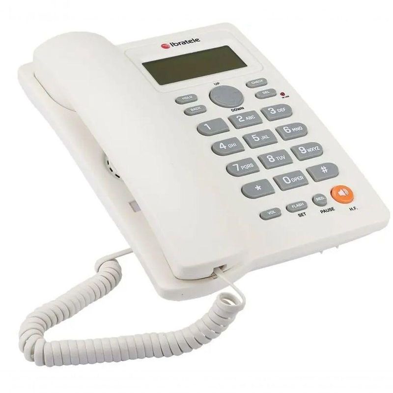 17508323651992
