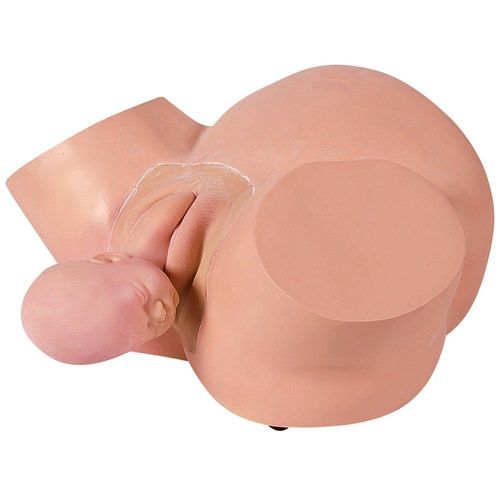 Parto Pélvico Normal Simulador Médico