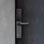 17534799066639