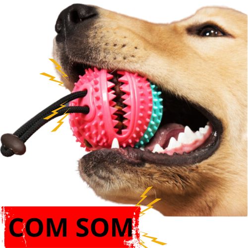 Brinquedo Bola Interativa para Cães com Som e Porta Petiscos – Borracha Resistente com Corda para Morder e Puxar