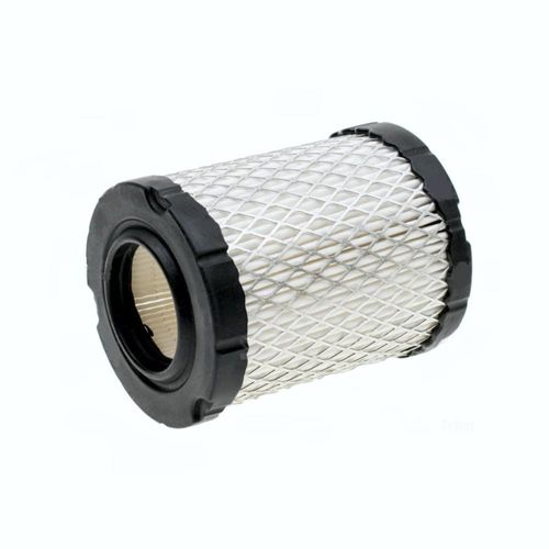 Filtro De Ar Motores Briggs Intek 12,5hp Redondo 796032 591583