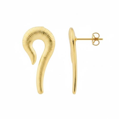 Brinco Formas Detalhes Banhado a Ouro