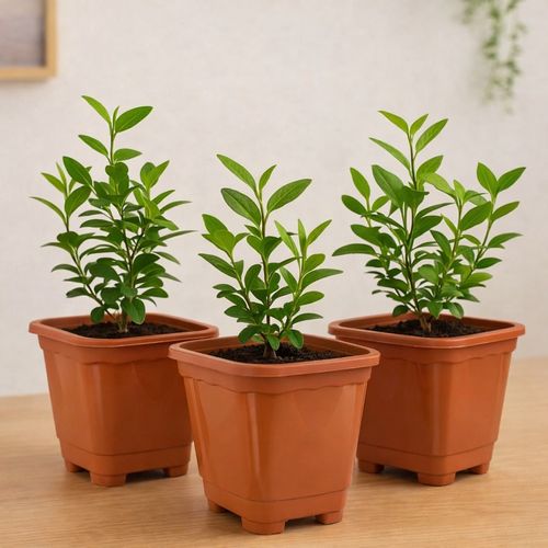Vaso para Plantas 6800ml Terracota | Kit 3 Vasos Resistentes para Jardim e Varanda